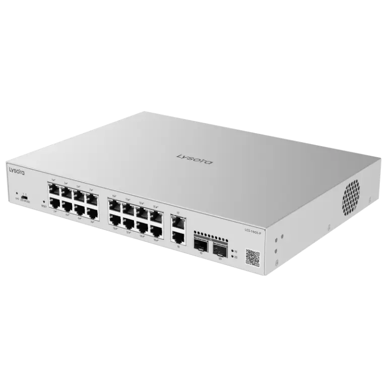 switch-lcs-16gs-p-1.png 2.webp